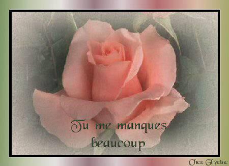 tu e manques beaucoup souka